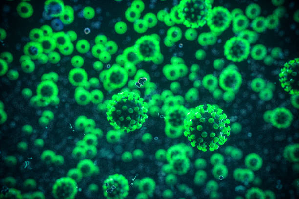 coronavirus gallery dept t shirt - cdc hepatitis a vaccine catch up schedule